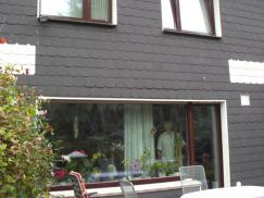 PaX Holz- Aluminium Fenster mit wsg