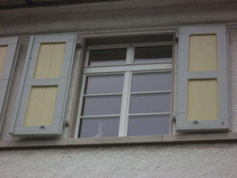 Fenster mit Sprossen und Klappladen